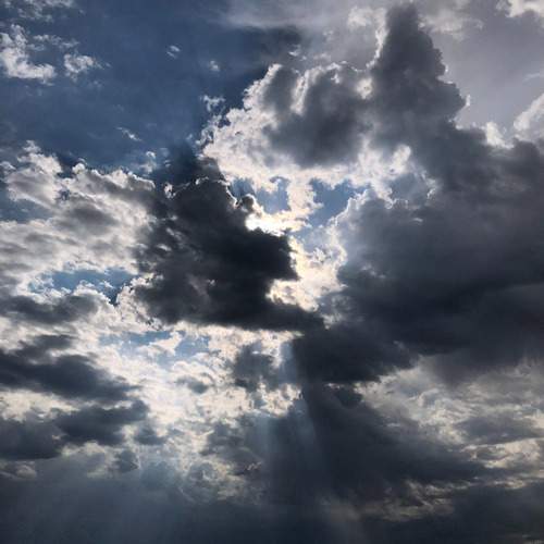Photo #13748833