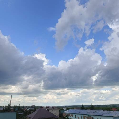 Photo #13748868