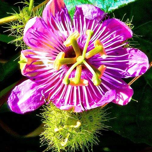 Photo #13748887