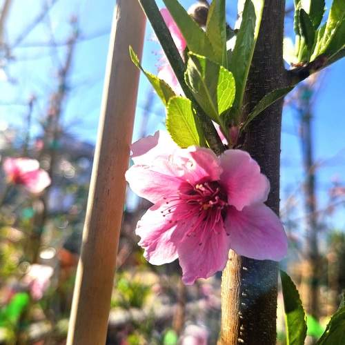 Photo #13748890