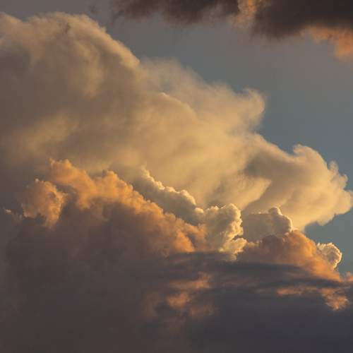 Photo #13748941