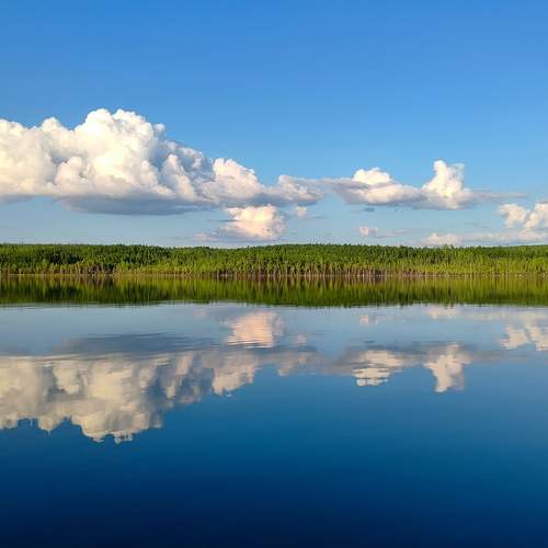 Photo #13748948