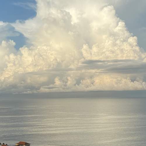Photo #13748964