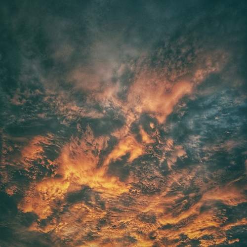 Photo #13748968