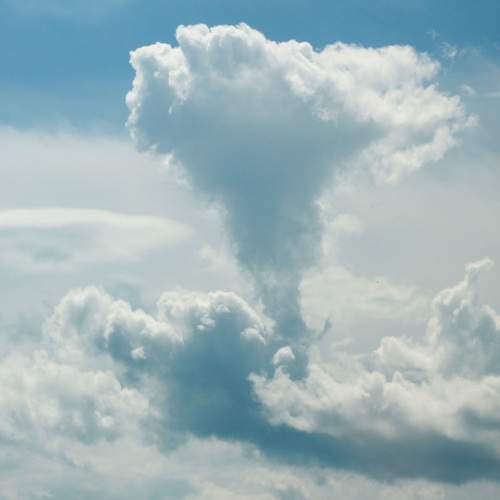 Photo #13748977