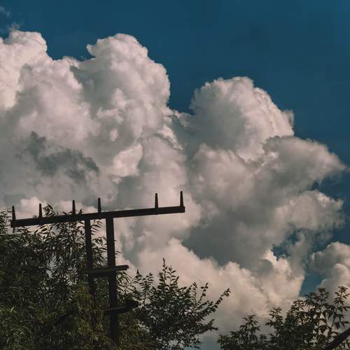 Photo #13749044