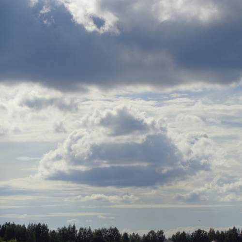 Photo #13749082
