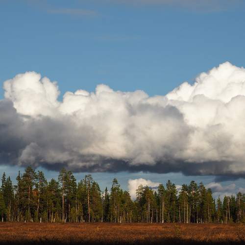 Photo #13749097
