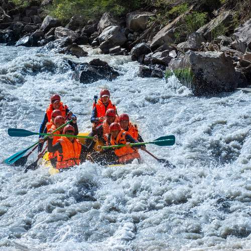 Photo #13749102