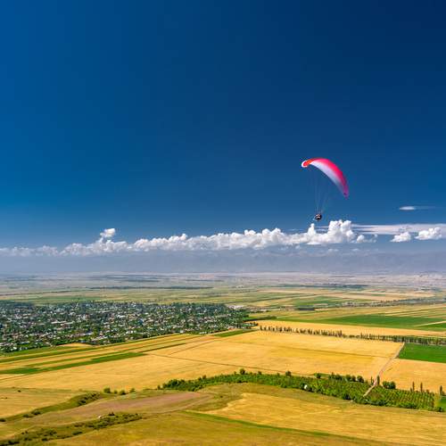Photo #13749105