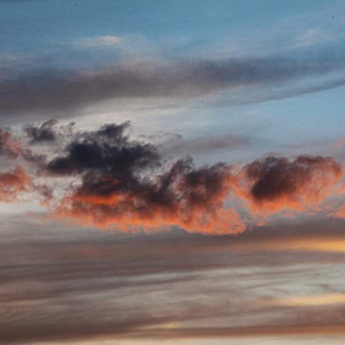 Photo #13749108