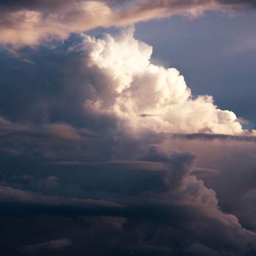 Photo #13749110