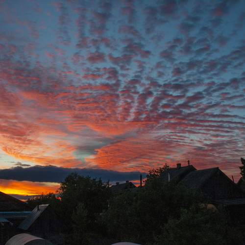 Photo #13749112