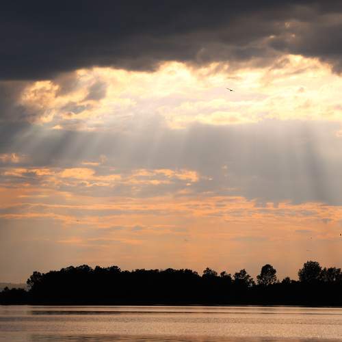 Photo #13749121
