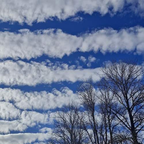 Photo #13749135
