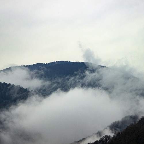 Photo #13749140