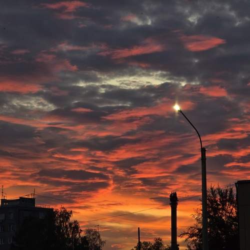 Photo #13749160