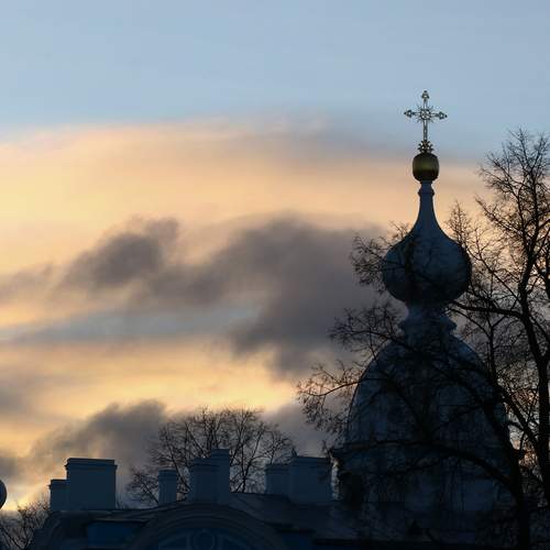 Photo #13749185