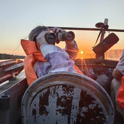 Photo #13749244