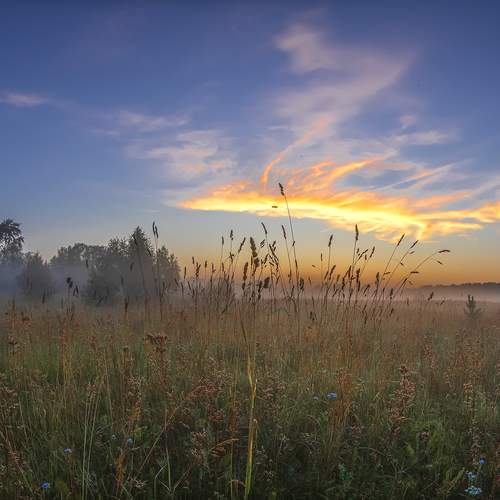 Photo #13749252