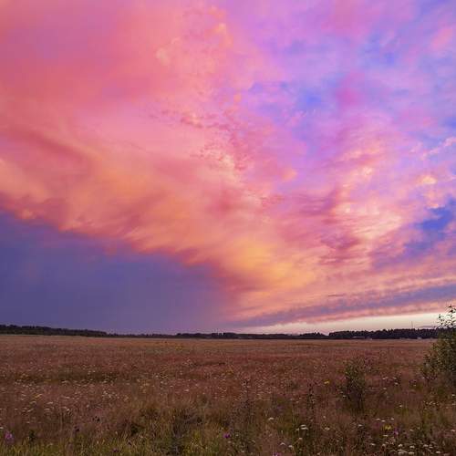 Photo #13749259