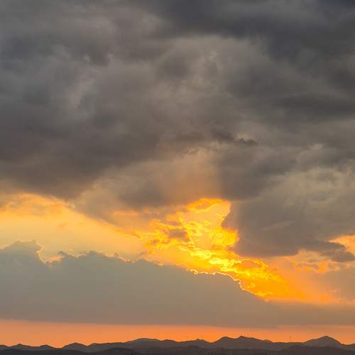 Photo #13749264