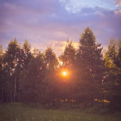 Летний закат
