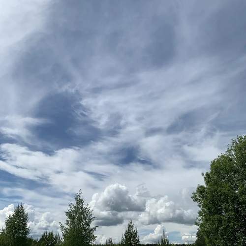 Photo #13749295