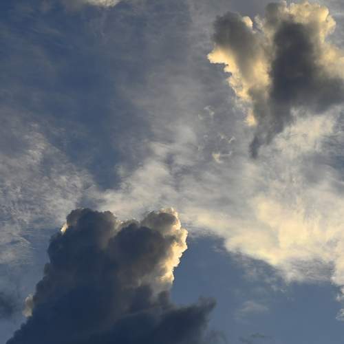 Photo #13749330