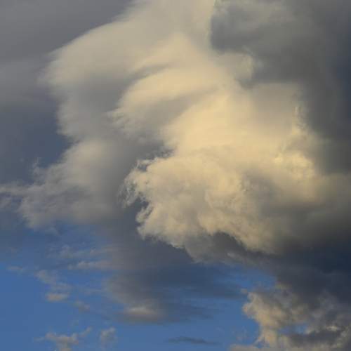 Photo #13749333