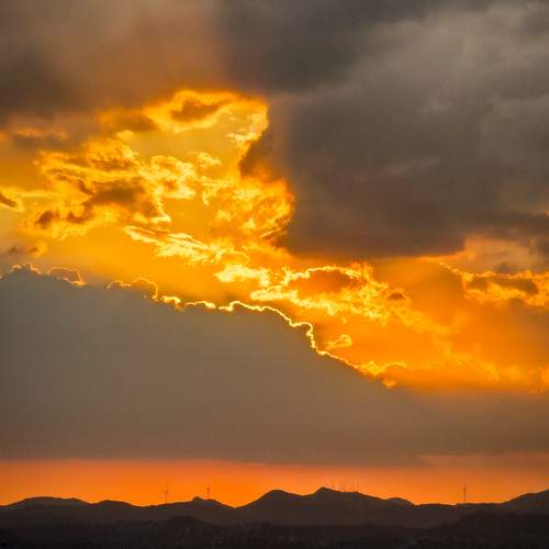 Photo #13749342