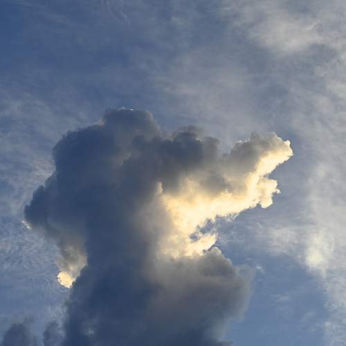 Photo #13749348