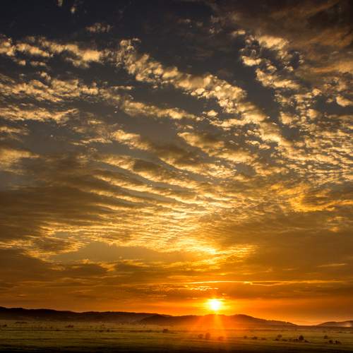 Photo #13749390