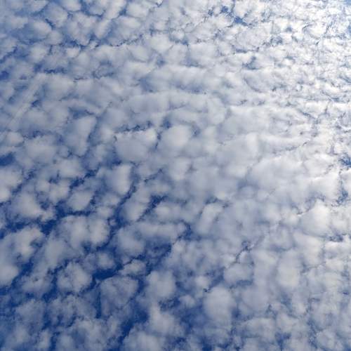 Photo #13749394