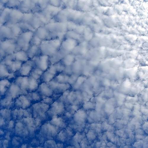 Photo #13749405