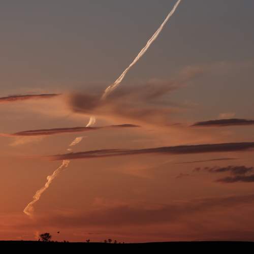 Photo #13749407
