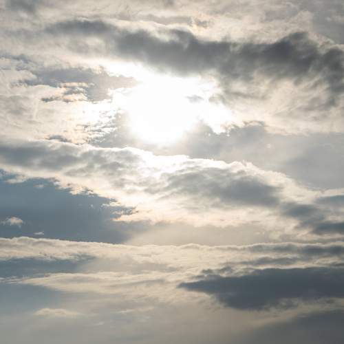 Photo #13749427