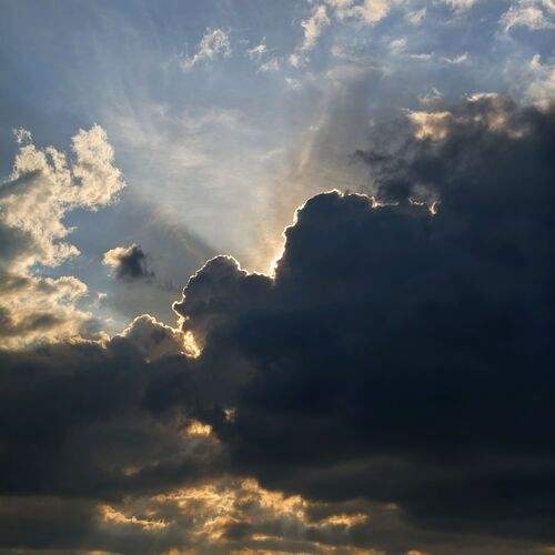 Photo #13749434