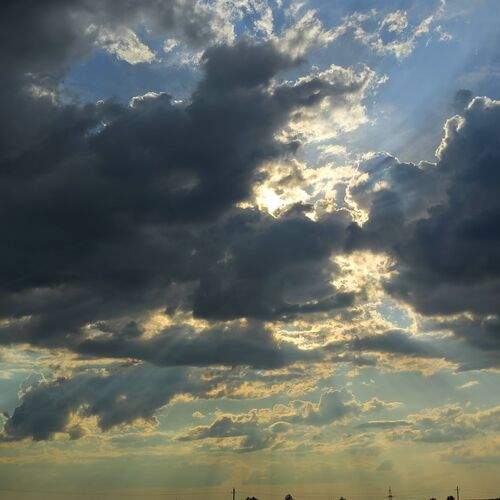 Photo #13749436
