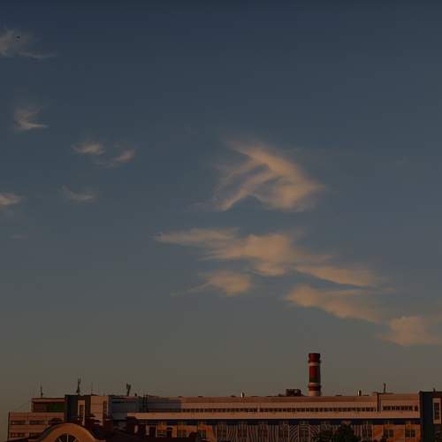 Photo #13749439