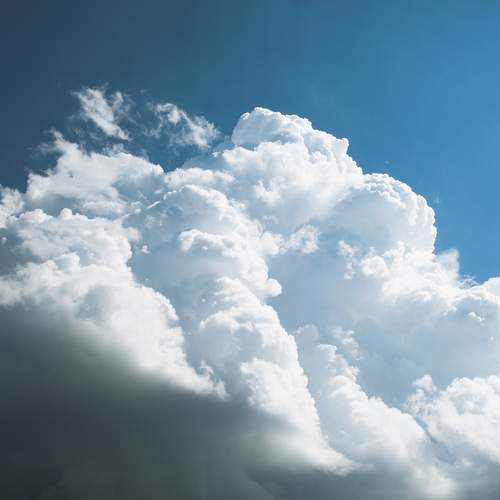 Photo #13749472