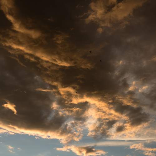 Photo #13749474