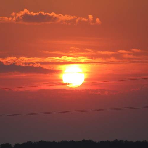 Photo #13749506