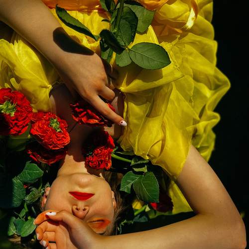 Photo #13749516