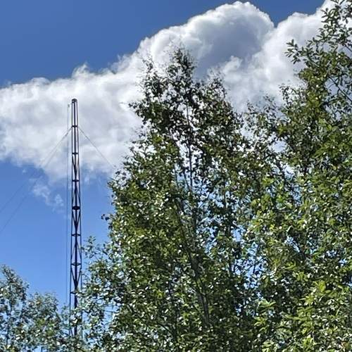 Photo #13749520
