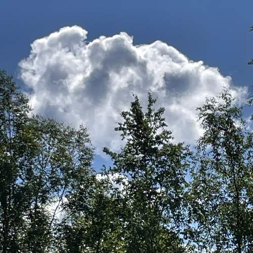 Photo #13749521