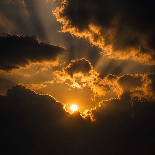 Photo #13749527