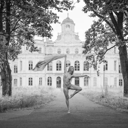 Photo #13749532