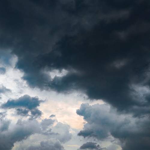 Photo #13749533