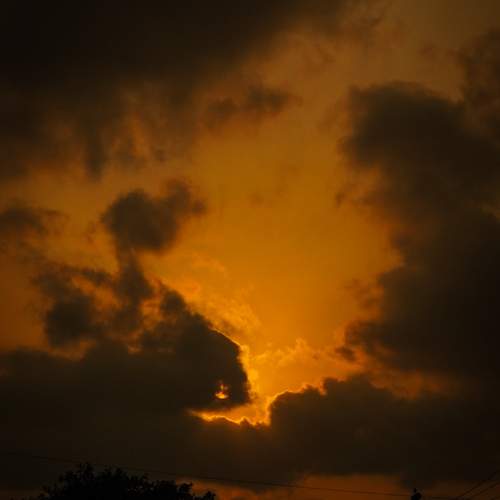 Photo #13749538